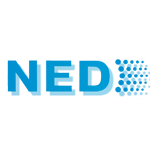 Главная 11 ned